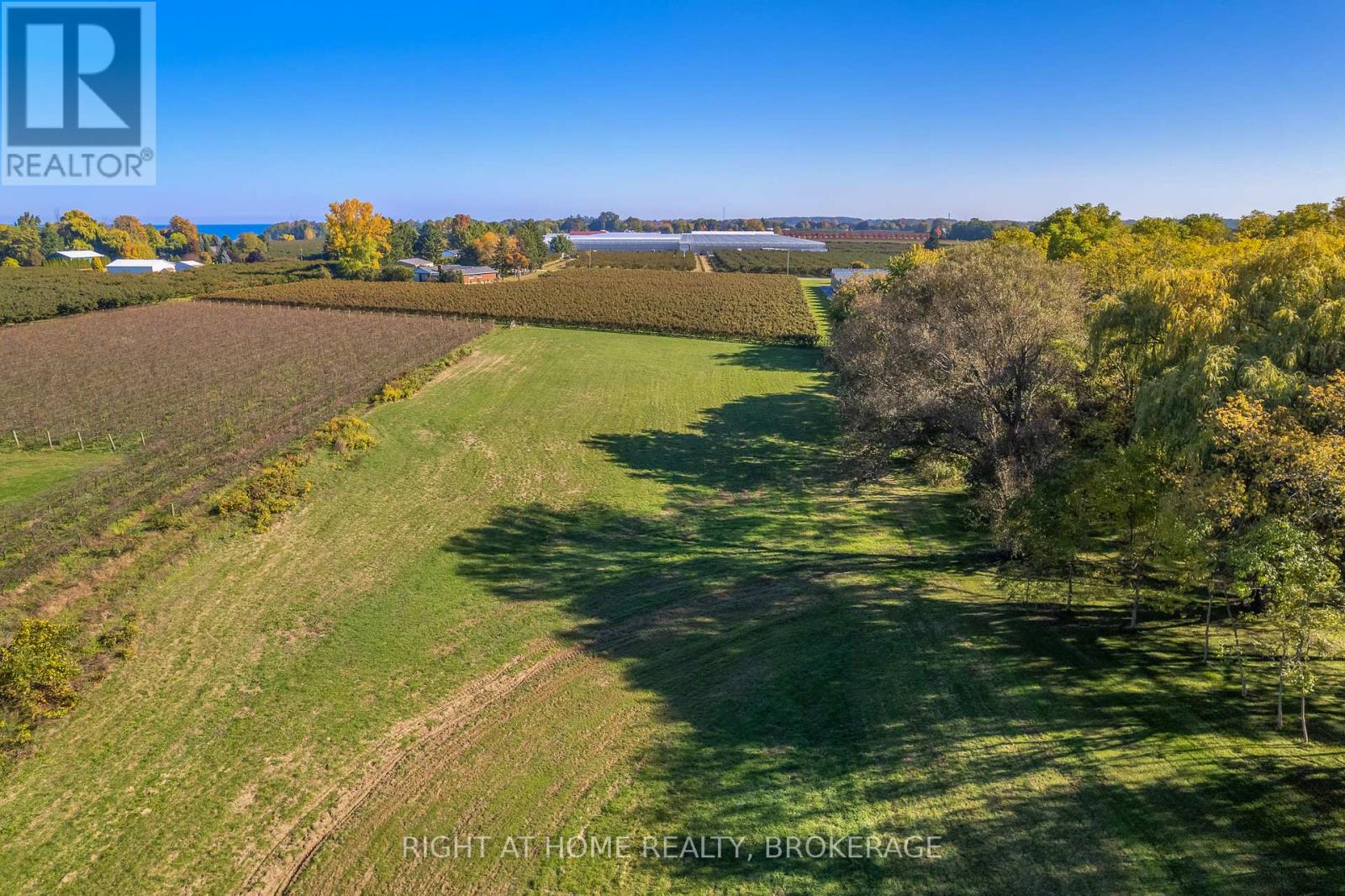 1353 Mcnab Road, Niagara-On-The-Lake, Ontario  L0S 1J0 - Photo 11 - X12877956