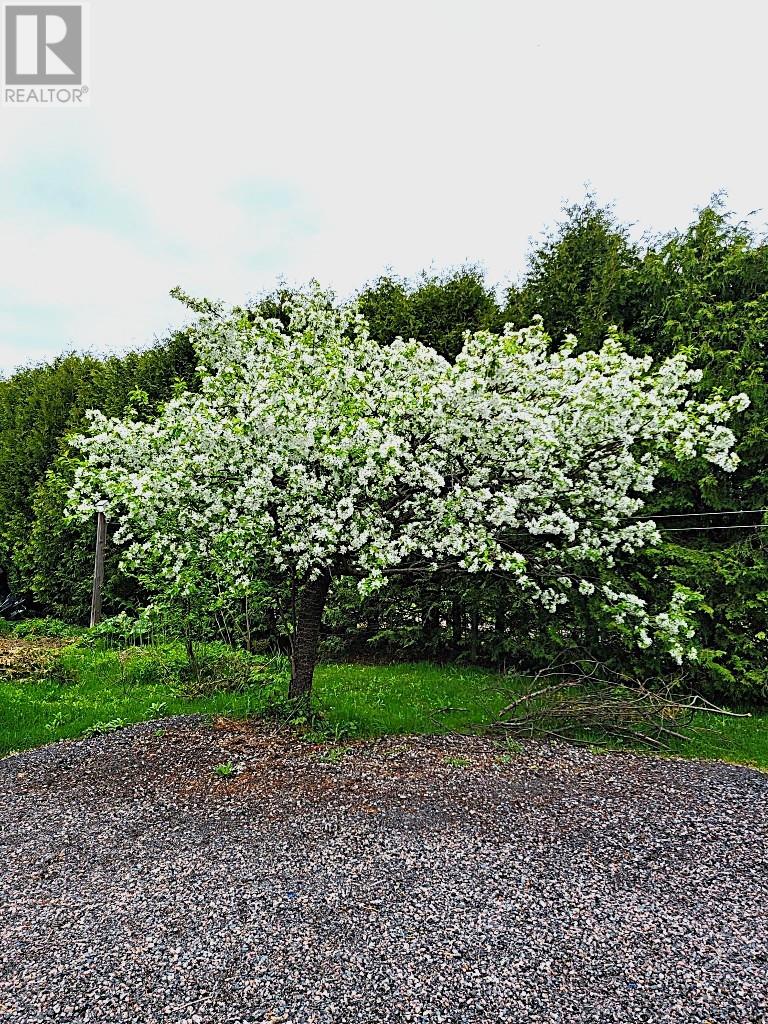 61 Gilbert, Alban, Ontario  P0M 1A0 - Photo 24 - 2126767