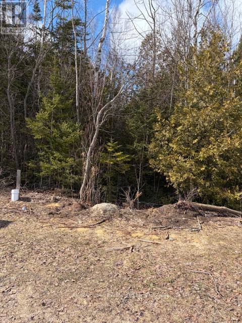 11 Lakeside Woods Crescent, Saugeen Shores, Ontario  N0H 2C0 - Photo 2 - X12877946