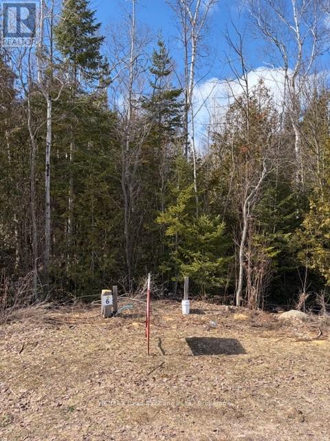 11 Lakeside Woods Crescent, Saugeen Shores, Ontario  N0H 2C0 - Photo 3 - X12877946