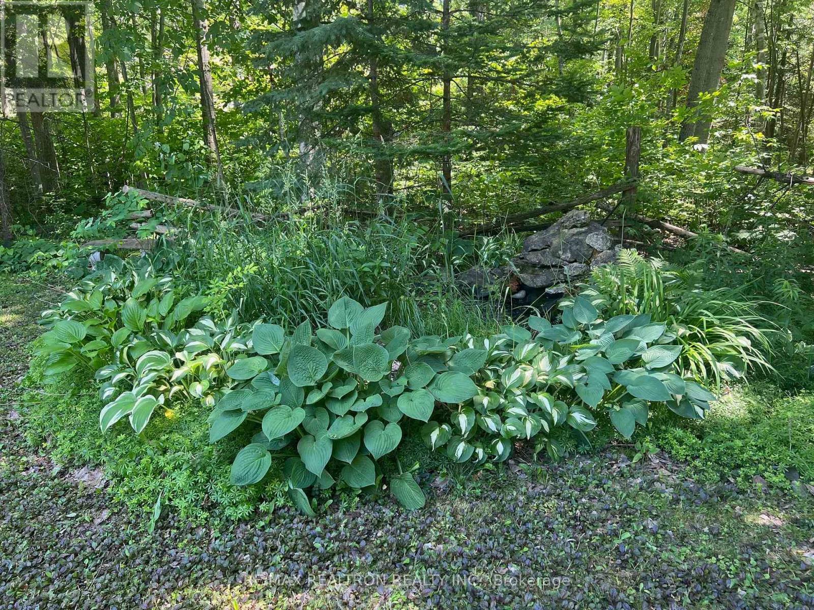 59 Forest Hill Drive, Adjala-Tosorontio, Ontario  L0M 1J0 - Photo 25 - N12877926