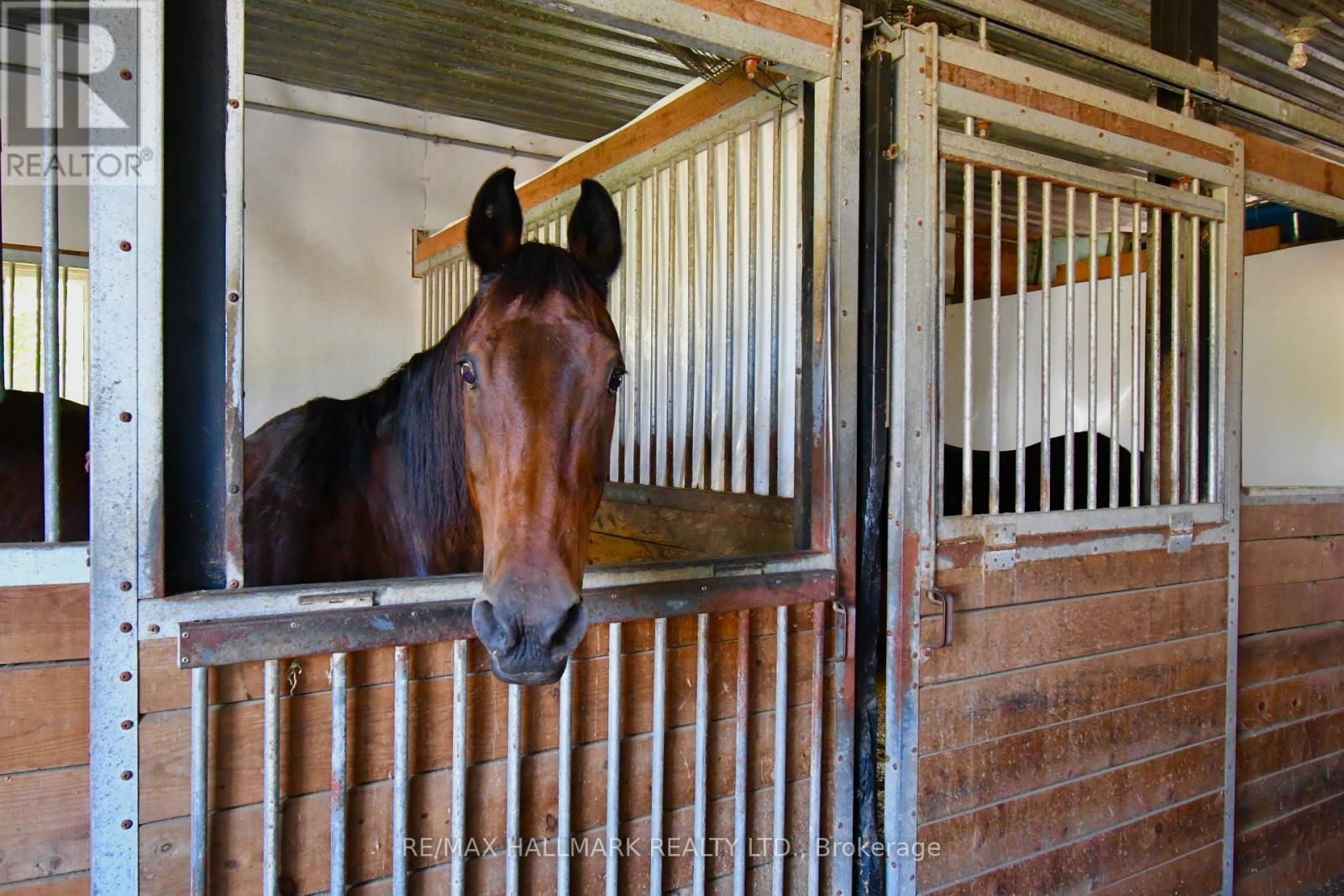 18555 Highway 12, Scugog, Ontario  L0C 1B0 - Photo 25 - E12770540