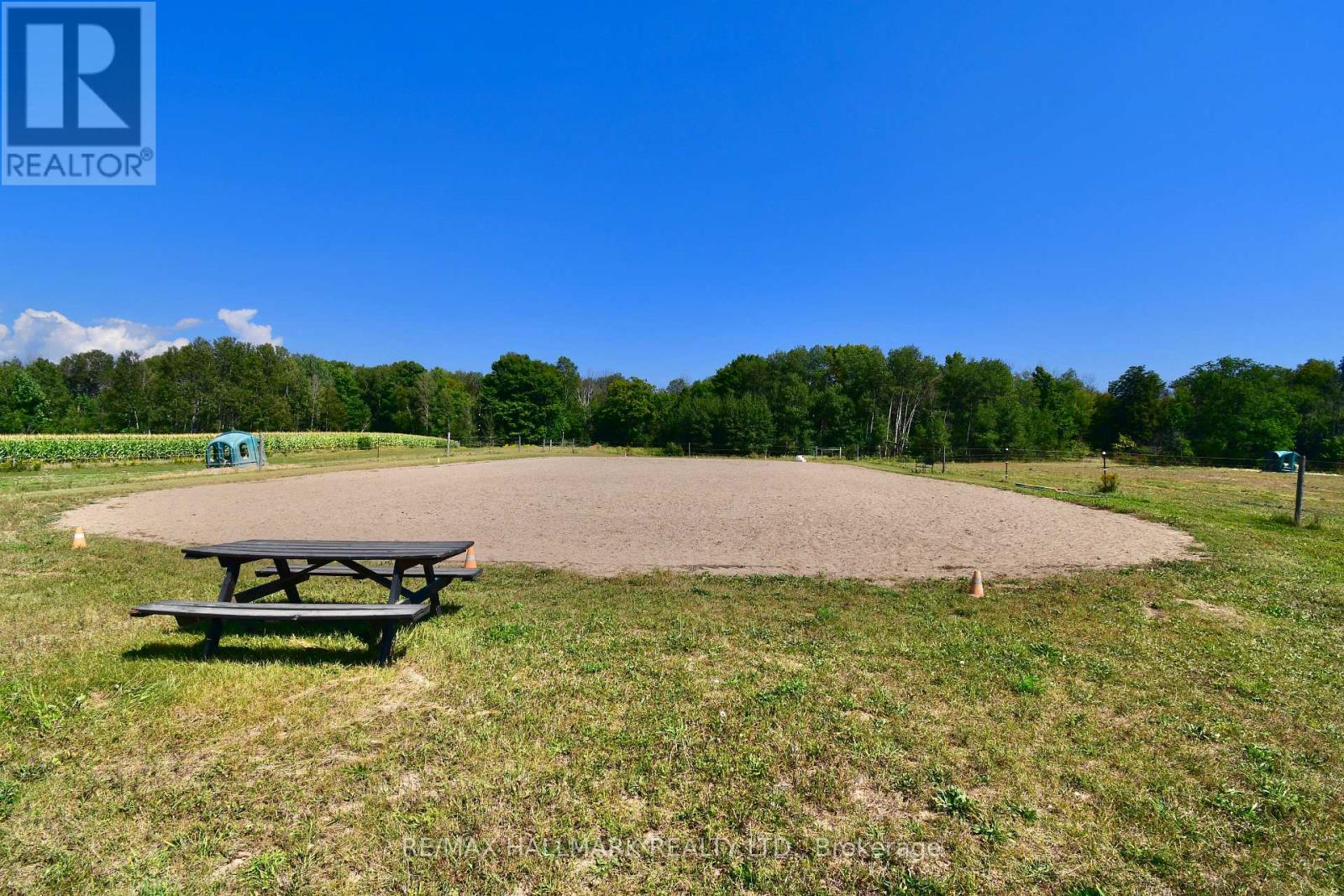 18555 Highway 12, Scugog, Ontario  L0C 1B0 - Photo 31 - E12770540