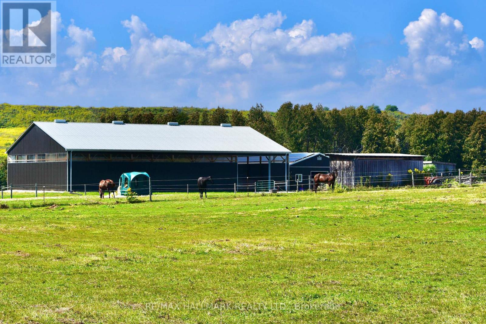 18555 Highway 12, Scugog, Ontario  L0C 1B0 - Photo 30 - E12770540