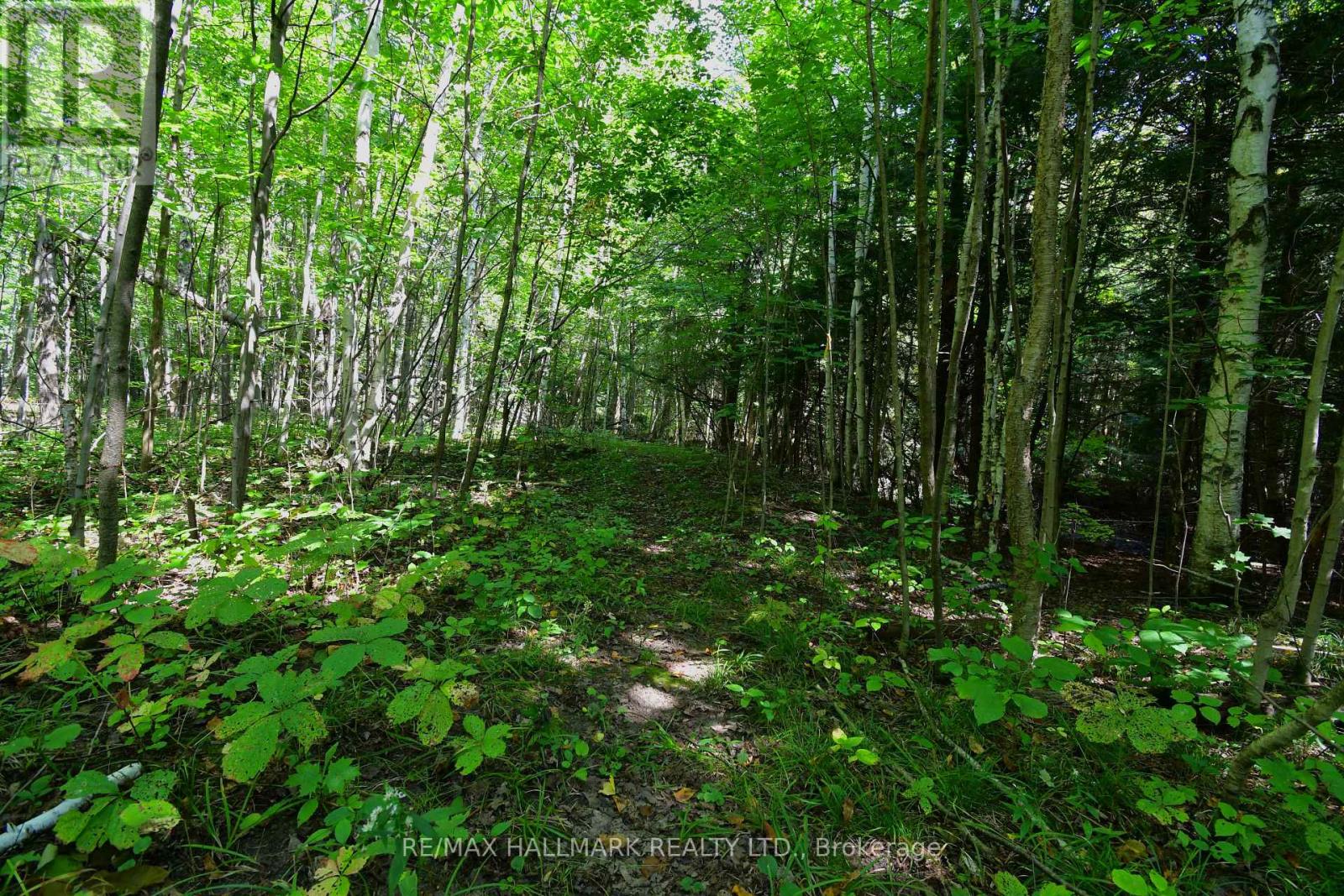 18555 Highway 12, Scugog, Ontario  L0C 1B0 - Photo 33 - E12770540