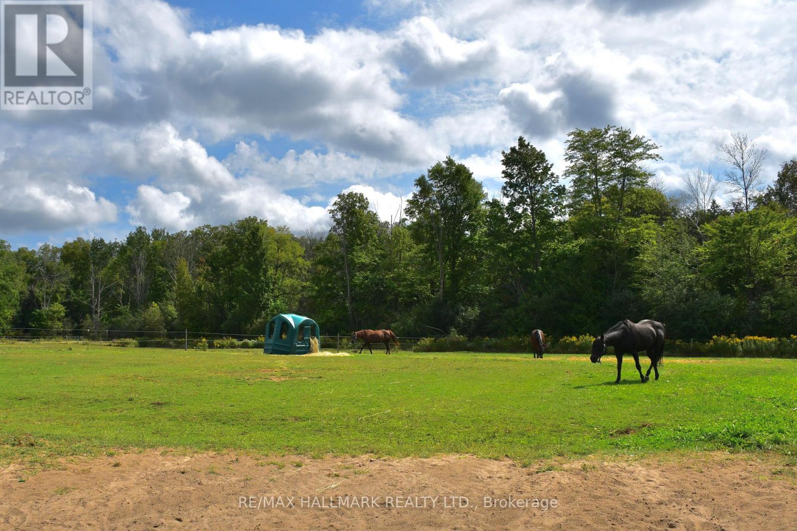 18555 Highway 12, Scugog, Ontario  L0C 1B0 - Photo 39 - E12770540