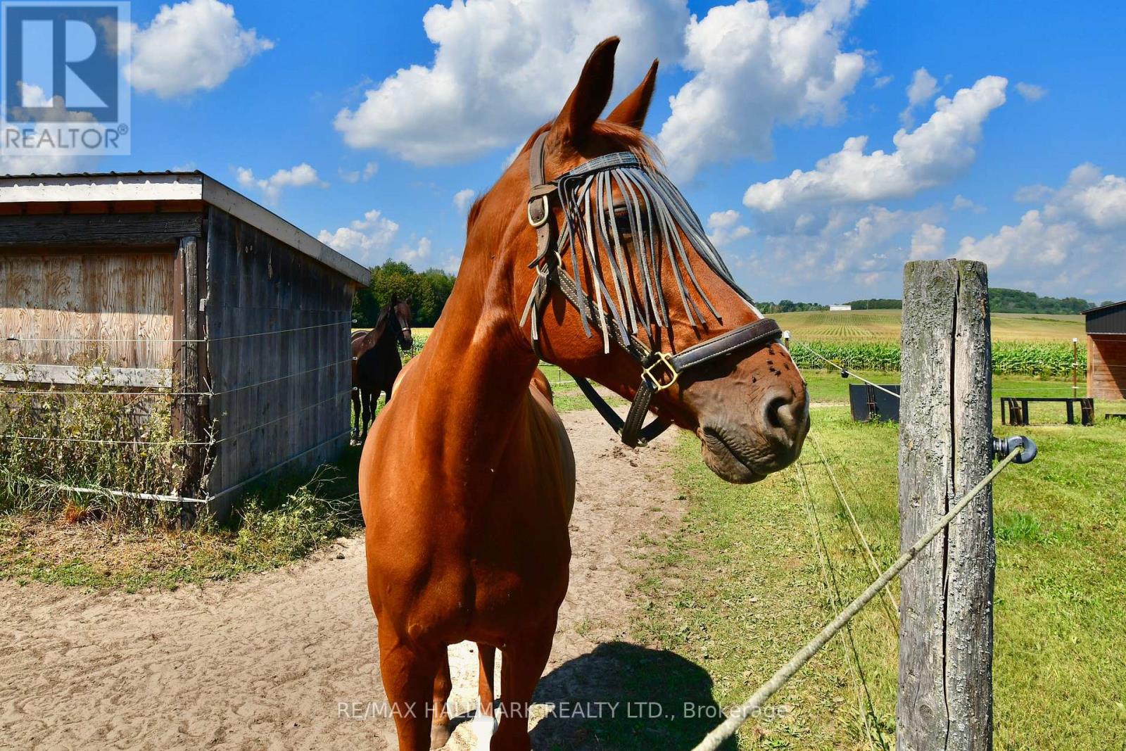 18555 Highway 12, Scugog, Ontario  L0C 1B0 - Photo 43 - E12770540