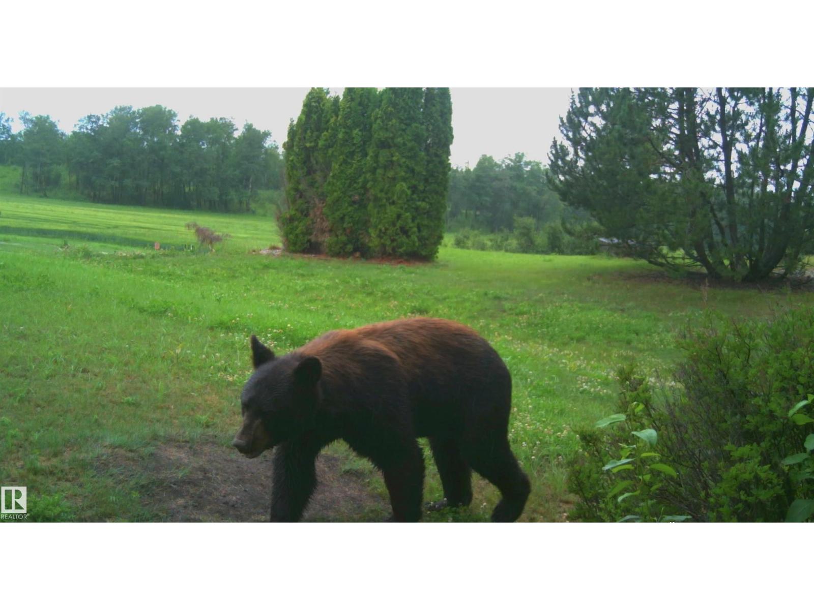 54522 Rge Road 204, Rural Strathcona County, Alberta  T8L 4B6 - Photo 47 - E4476587