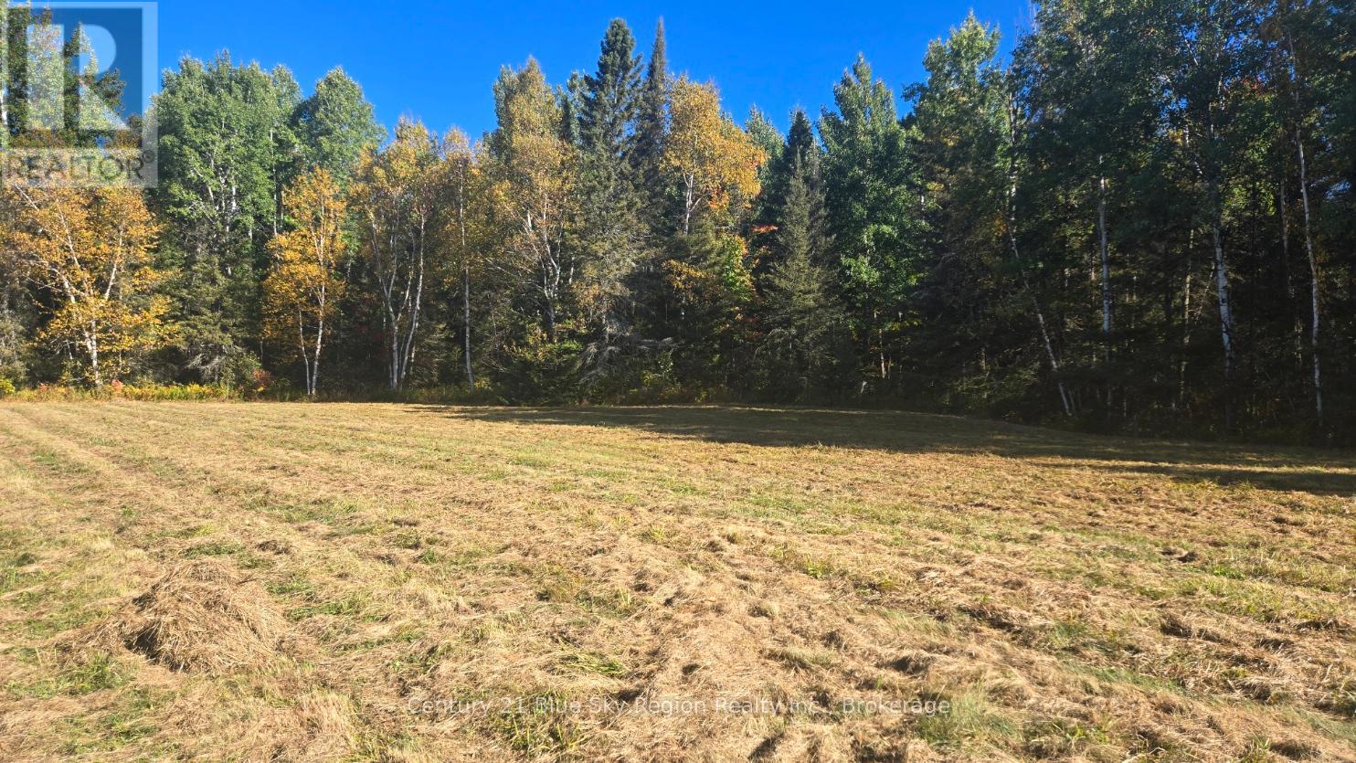 PT LT 1 CON 13 TRAPPERS ROAD, chisholm, Ontario