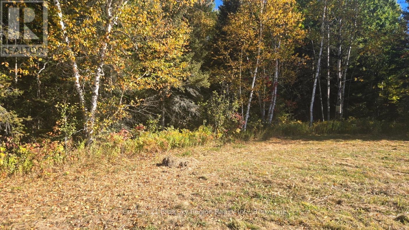 Pt Lt 1 Con 13 Trappers Road, Chisholm, Ontario  P0H 1Z0 - Photo 5 - X12432915