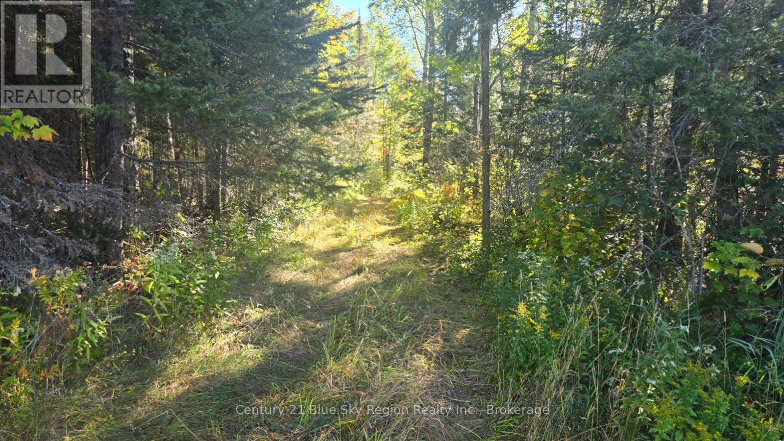 Pt Lt 1 Con 13 Trappers Road, Chisholm, Ontario  P0H 1Z0 - Photo 10 - X12432915