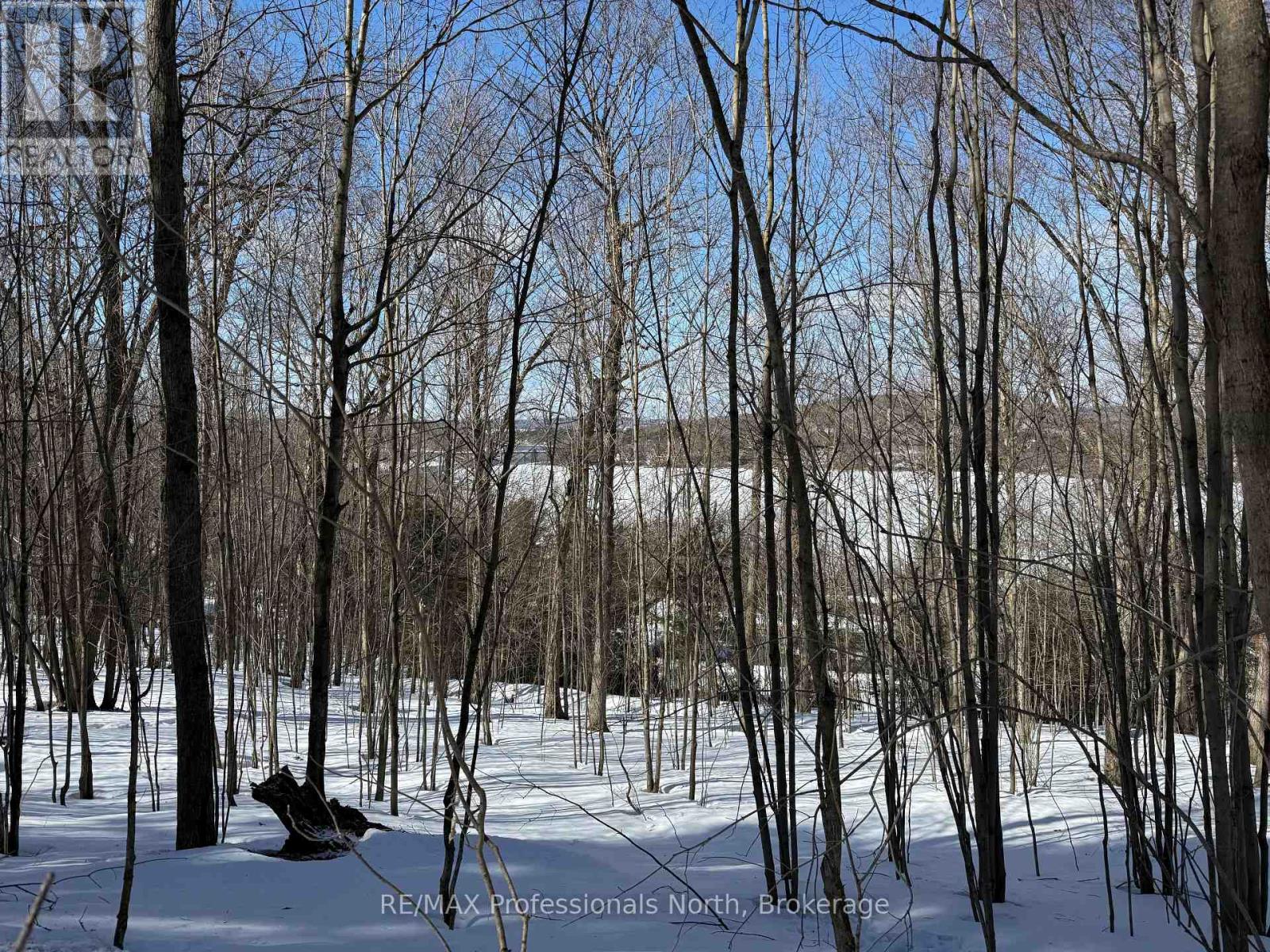 22 Walpole Street W, Huntsville, Ontario  P1H 1V3 - Photo 4 - X12878088