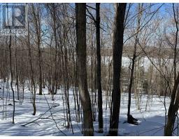 22 WALPOLE STREET W, huntsville (chaffey), Ontario