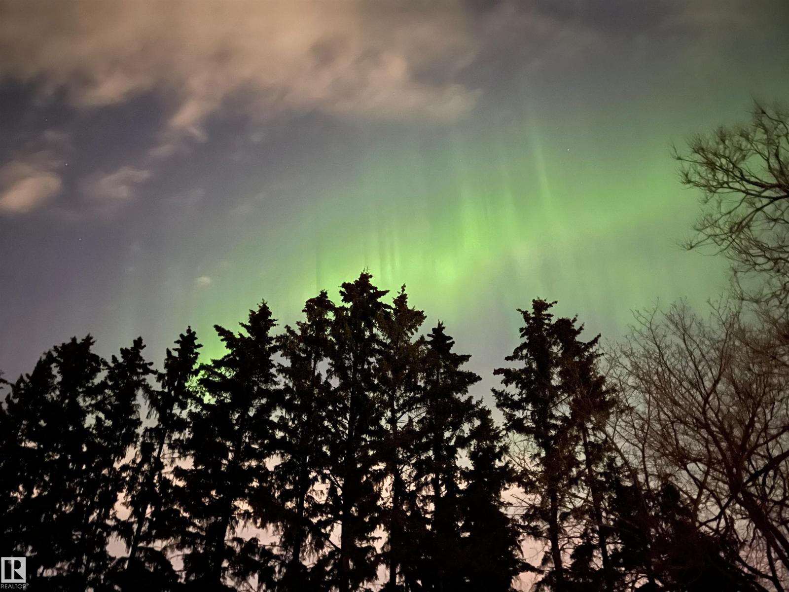 10908 57 Av Nw Nw, Edmonton, Alberta  T6H 0Z1 - Photo 63 - E4477173