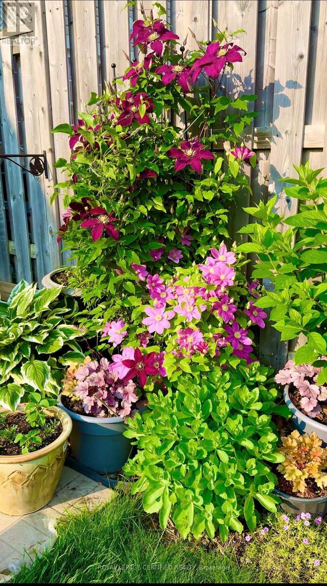 27 Grand Flats Trail, Kitchener, Ontario  N2A 0H7 - Photo 40 - X12877306