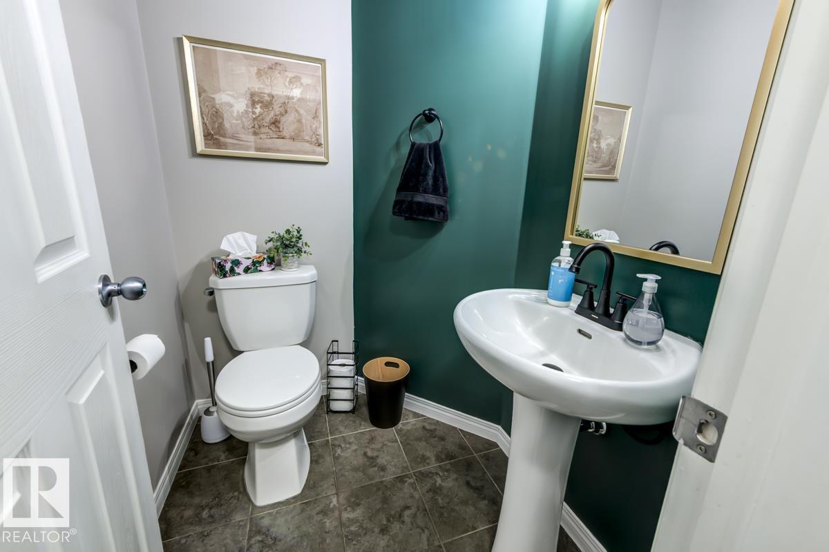 4317 Prowse Link Li Sw, Edmonton, Alberta  T6W 3A7 - Photo 39 - E4477183