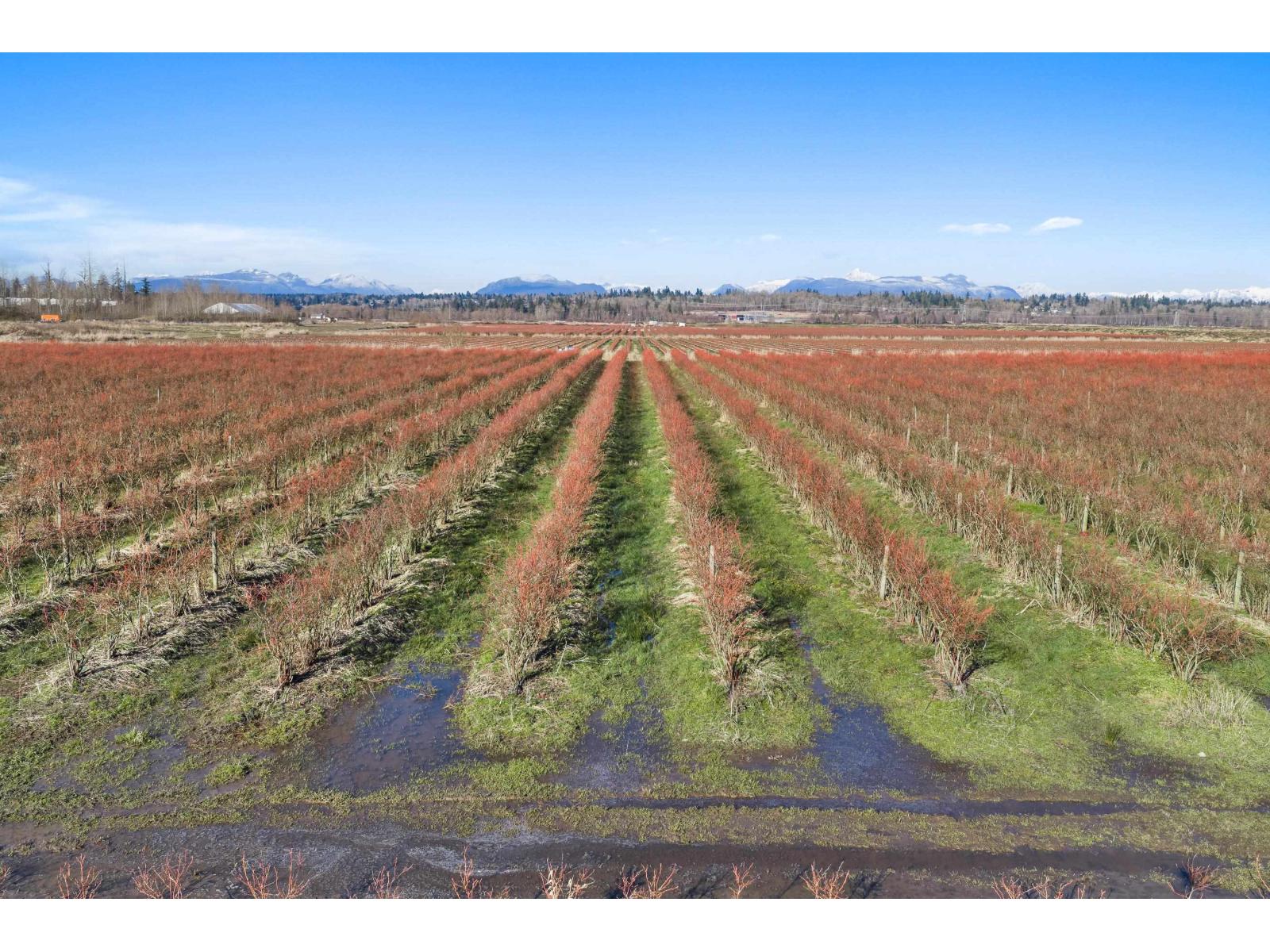 15683 64 Avenue, Surrey, British Columbia  V3S 2A2 - Photo 8 - R3099127