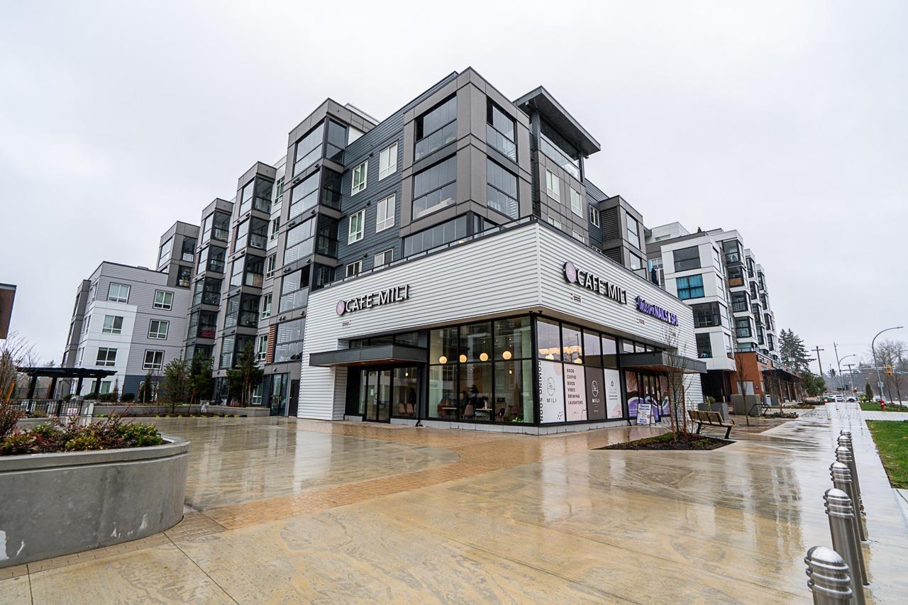 108 19975 76 Avenue, Langley, British Columbia  V2Y 3Y1 - Photo 4 - R3099387