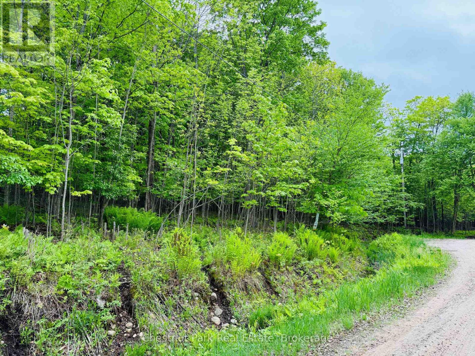 23 Maple Ridge Road, Nipissing, Ontario  P0A 1Z0 - Photo 3 - X12732804