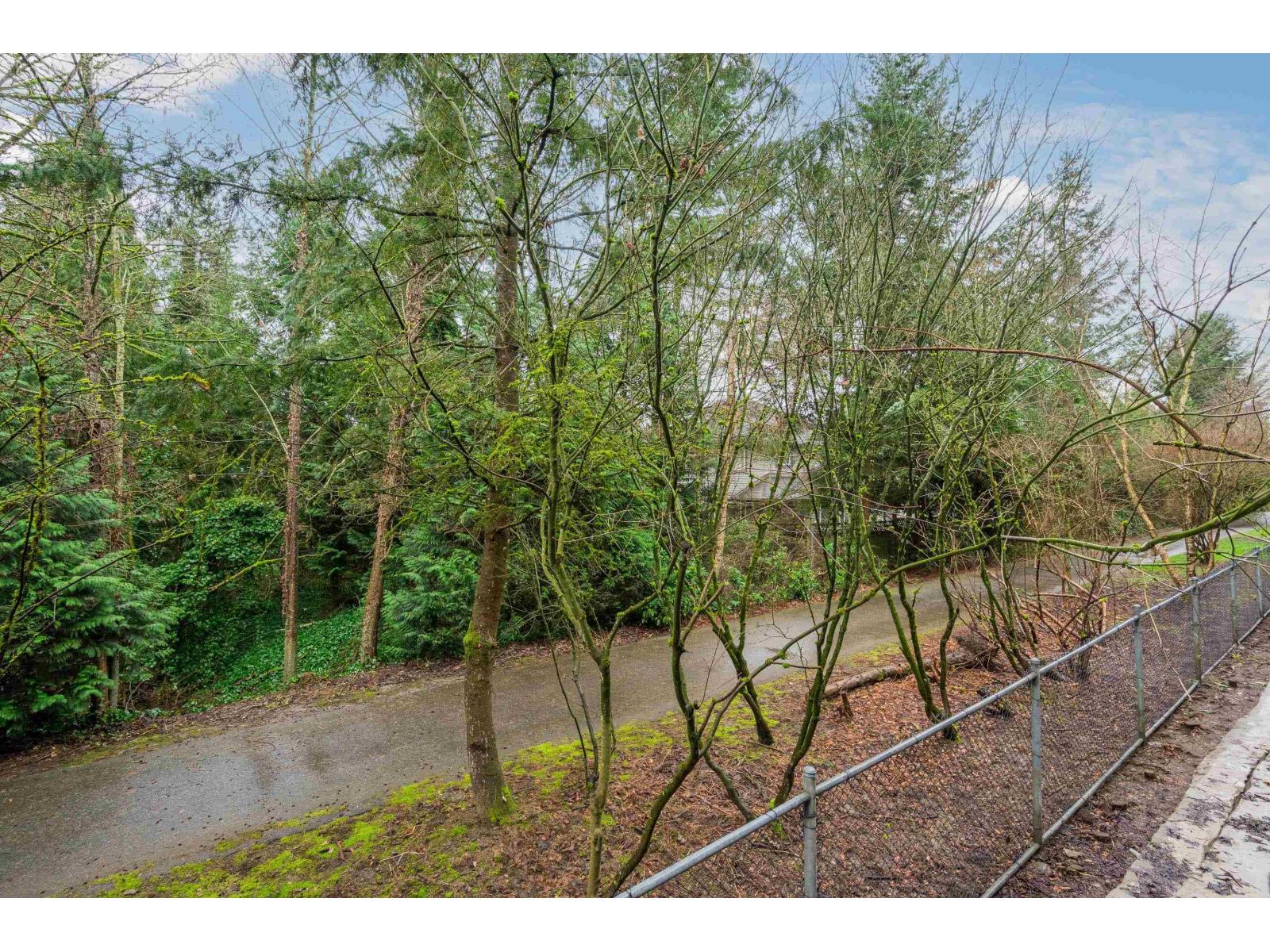 49 19932 70 Avenue, Langley, British Columbia  V2Y 3C6 - Photo 37 - R3099224