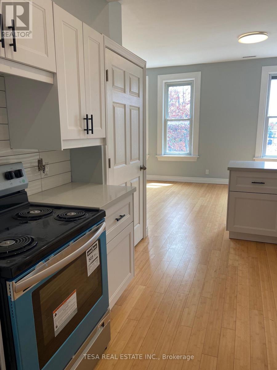 2 - 158 Darling Street, Brantford, Ontario  N3S 3W6 - Photo 3 - X12878294