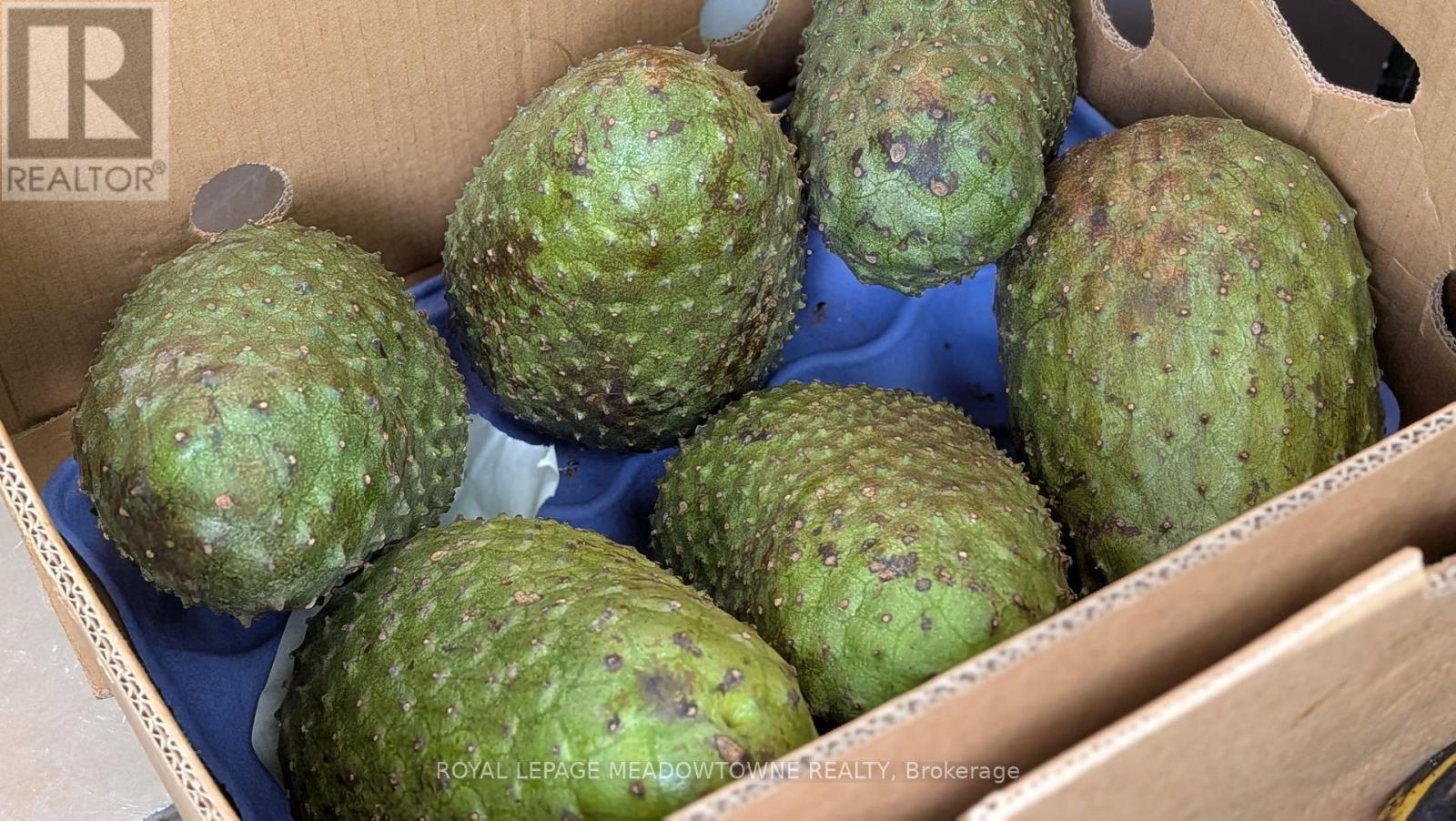 3 - 50 Taunton Road E, Oshawa (Samac), Ontario  L1G 3T7 - Photo 22 - E12877444