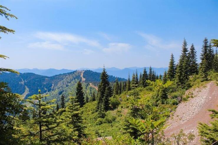 1985 Sparrow Hawk Place, Mt Woodside, Agassiz, British Columbia  V0M 1A1 - Photo 25 - R3070613