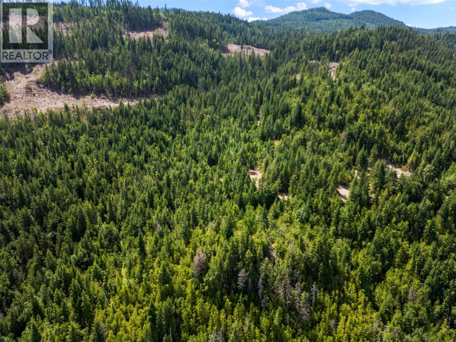 3560 Eagle Bay Road, Eagle Bay, British Columbia  V0E 1H1 - Photo 12 - 10379279