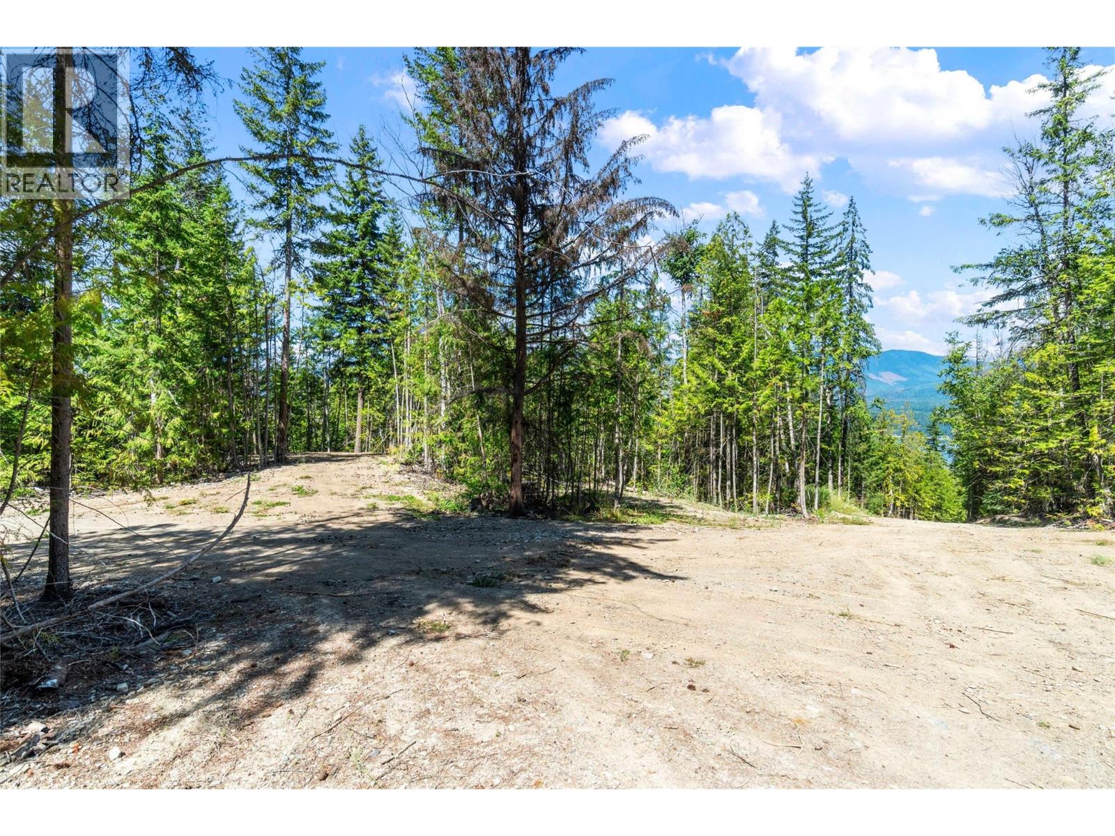 3560 Eagle Bay Road, Eagle Bay, British Columbia  V0E 1H1 - Photo 44 - 10379279