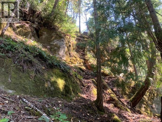 409 Pilkey Point Rd, Thetis Island, British Columbia  V0R 2Y0 - Photo 42 - 983752