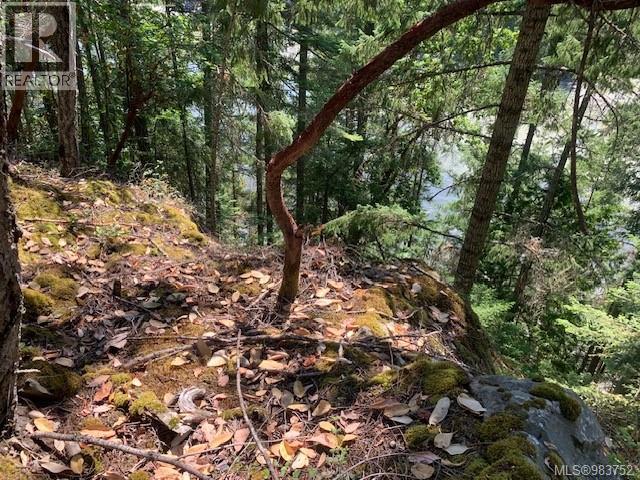 409 Pilkey Point Rd, Thetis Island, British Columbia  V0R 2Y0 - Photo 54 - 983752
