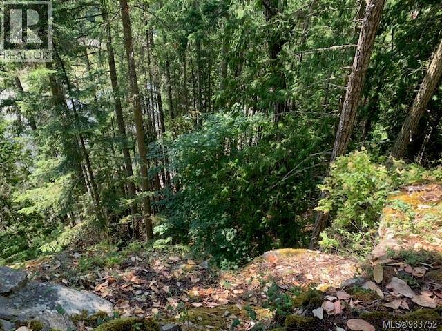 409 Pilkey Point Rd, Thetis Island, British Columbia  V0R 2Y0 - Photo 53 - 983752