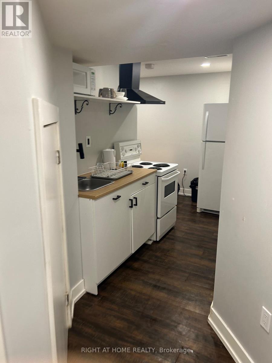 Bsmt - 5 Faris Street, Bradford West Gwillimbury, Ontario  L3Z 0C6 - Photo 3 - N12877826