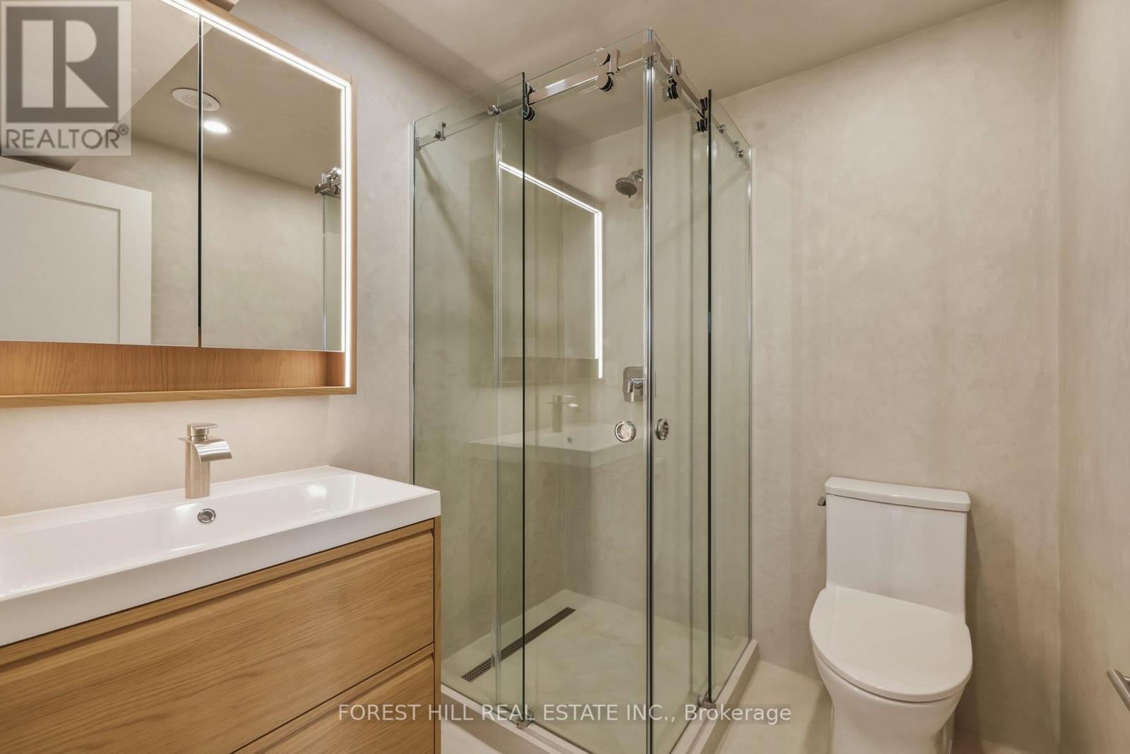 Lower - 250 Hallam Street, Toronto, Ontario  M6H 1Y1 - Photo 10 - W12878548