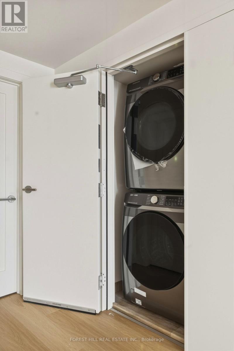 Lower - 250 Hallam Street, Toronto, Ontario  M6H 1Y1 - Photo 15 - W12878548