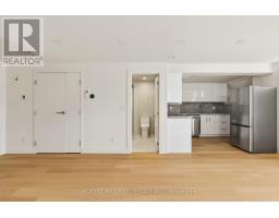 LOWER - 250 HALLAM STREET, Toronto, Ontario