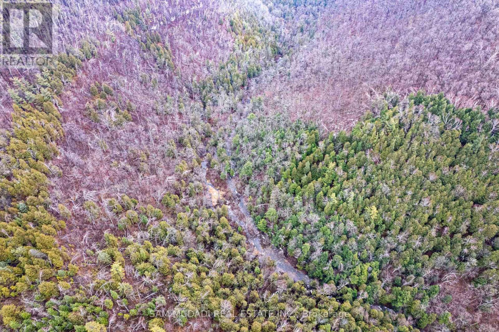 1415 County Rd 124, Clearview, Ontario  L0M 1H0 - Photo 33 - S12878620