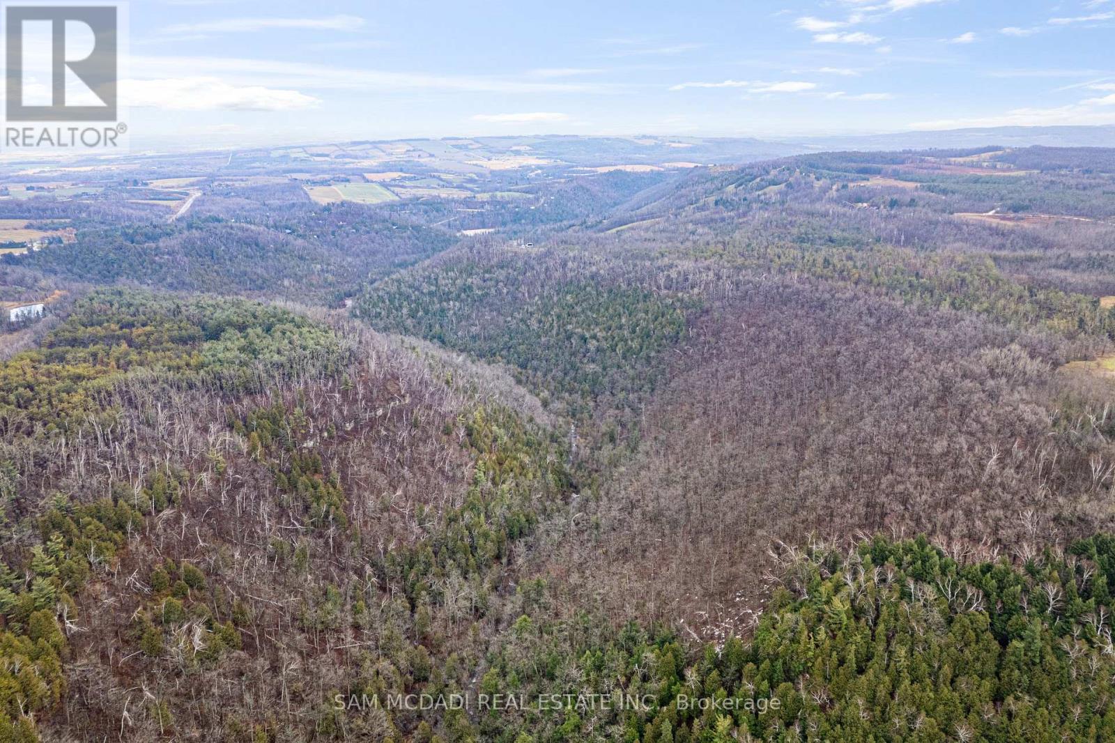 1415 County Rd 124, Clearview, Ontario  L0M 1H0 - Photo 34 - S12878620