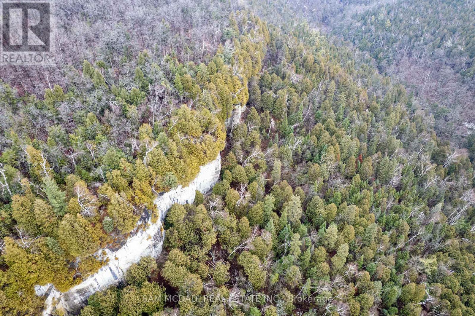 1415 County Rd 124, Clearview, Ontario  L0M 1H0 - Photo 35 - S12878620