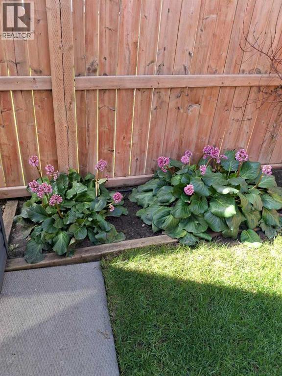 620 Edgefield Street, Strathmore, Alberta  T1P 0G1 - Photo 45 - A2278373