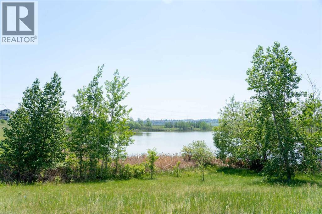 547 Evanston Drive Nw, Calgary, Alberta  T3P 0H4 - Photo 43 - A2292571