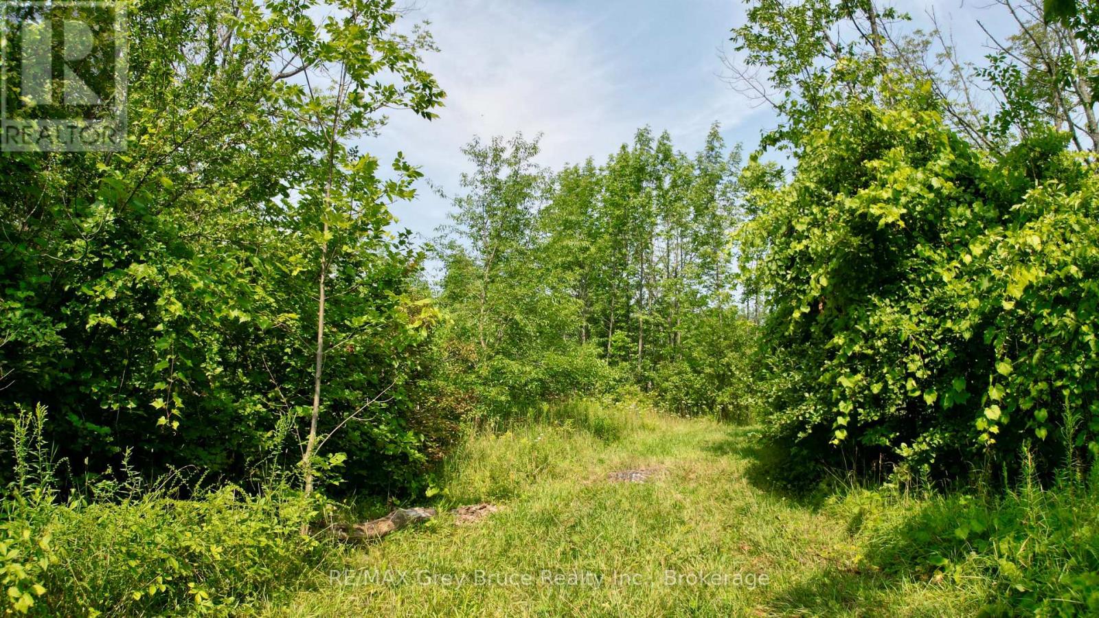 61 Crawford Drive, South Bruce Peninsula, Ontario  N0H 2T0 - Photo 16 - X12878760