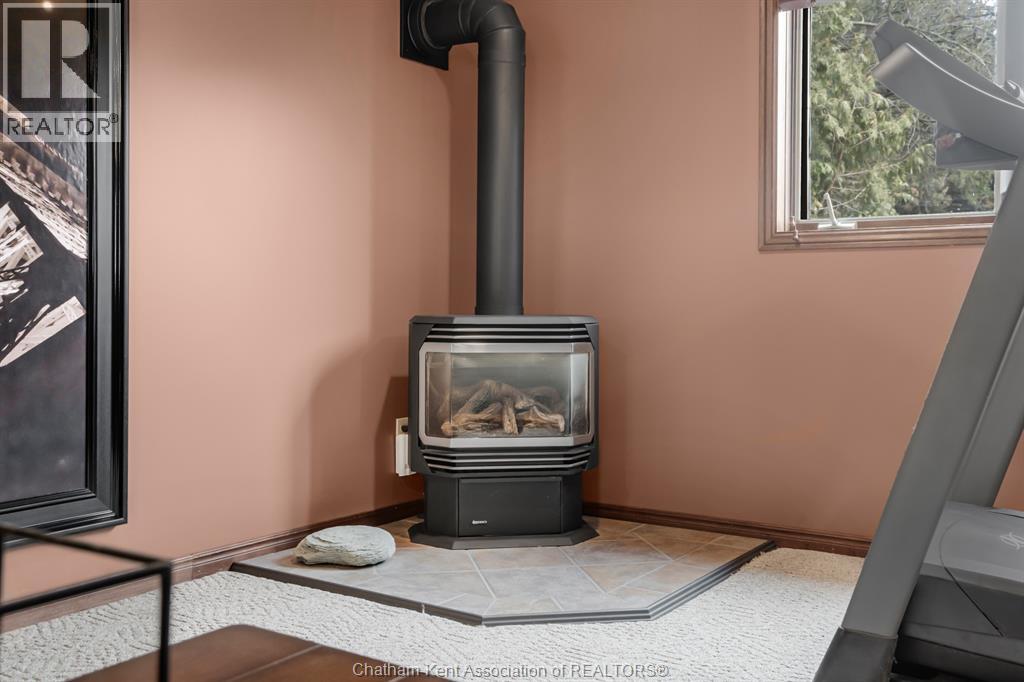 10010 Cedar Hedge Line, Dresden, Ontario  N0P 1M0 - Photo 33 - 26002273