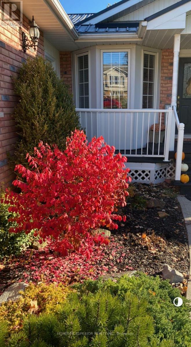 35 Nelson Street, Centre Hastings, Ontario  K0K 2K0 - Photo 38 - X12875182