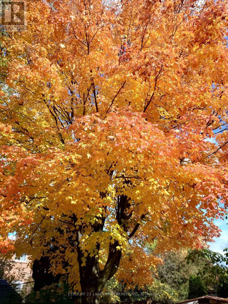 180 Willowbrook Road, Markham, Ontario  L3T 5P6 - Photo 49 - N12878864