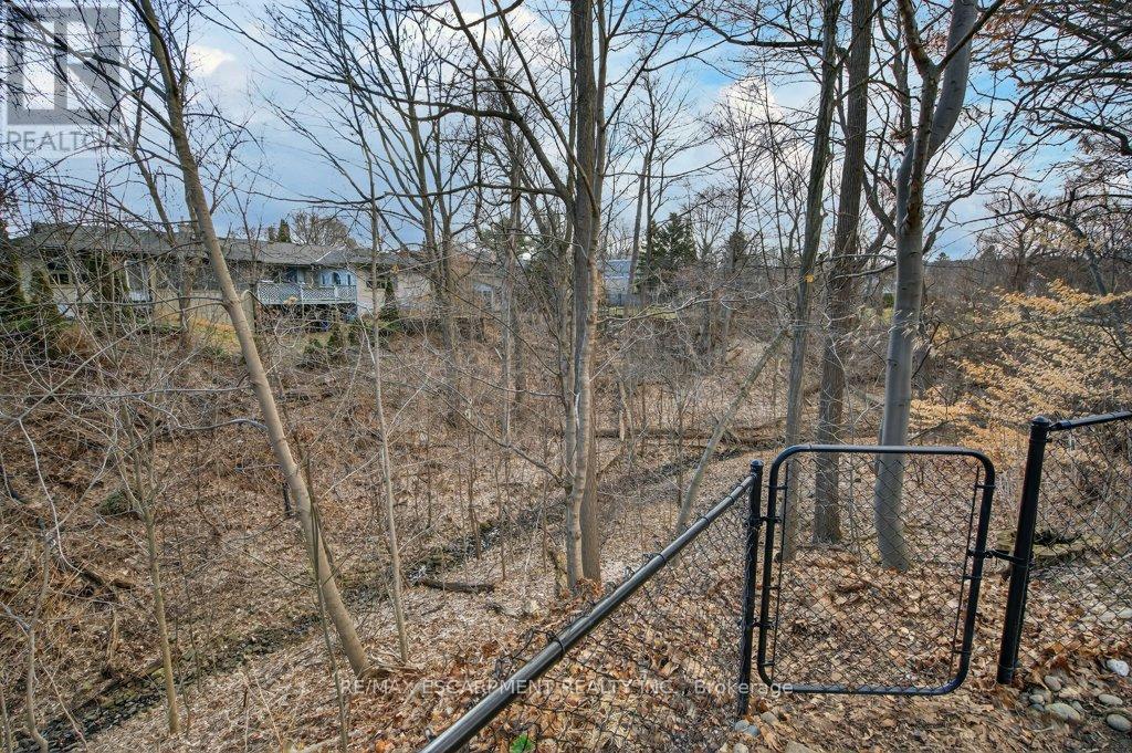 31 Dunning Court, Hamilton, Ontario  L9H 4K8 - Photo 38 - X12878916