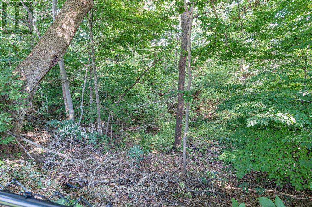 31 Dunning Court, Hamilton, Ontario  L9H 4K8 - Photo 46 - X12878916