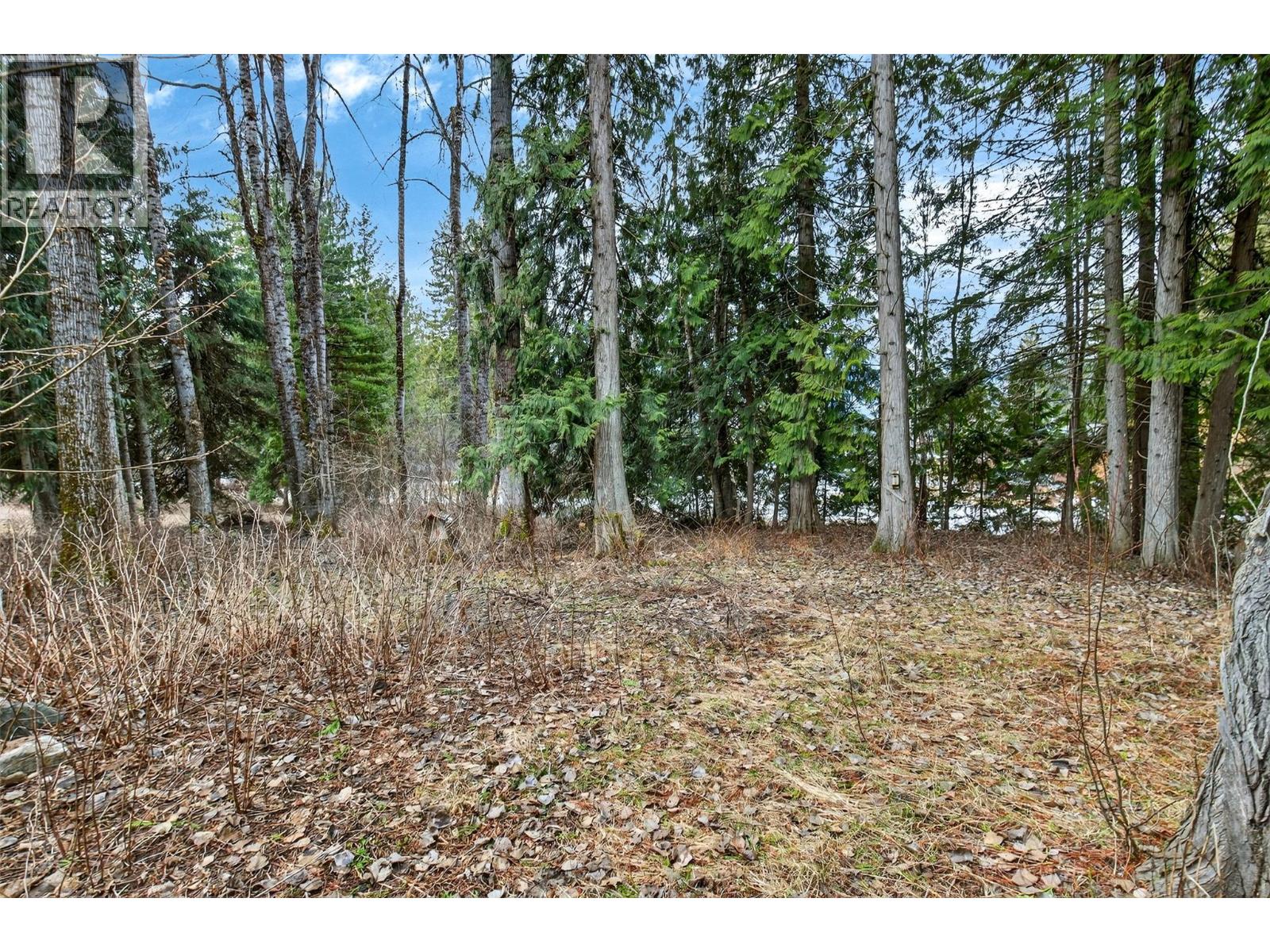 3025 Camozzi Road, Revelstoke, British Columbia  V0E 2S3 - Photo 48 - 10379149