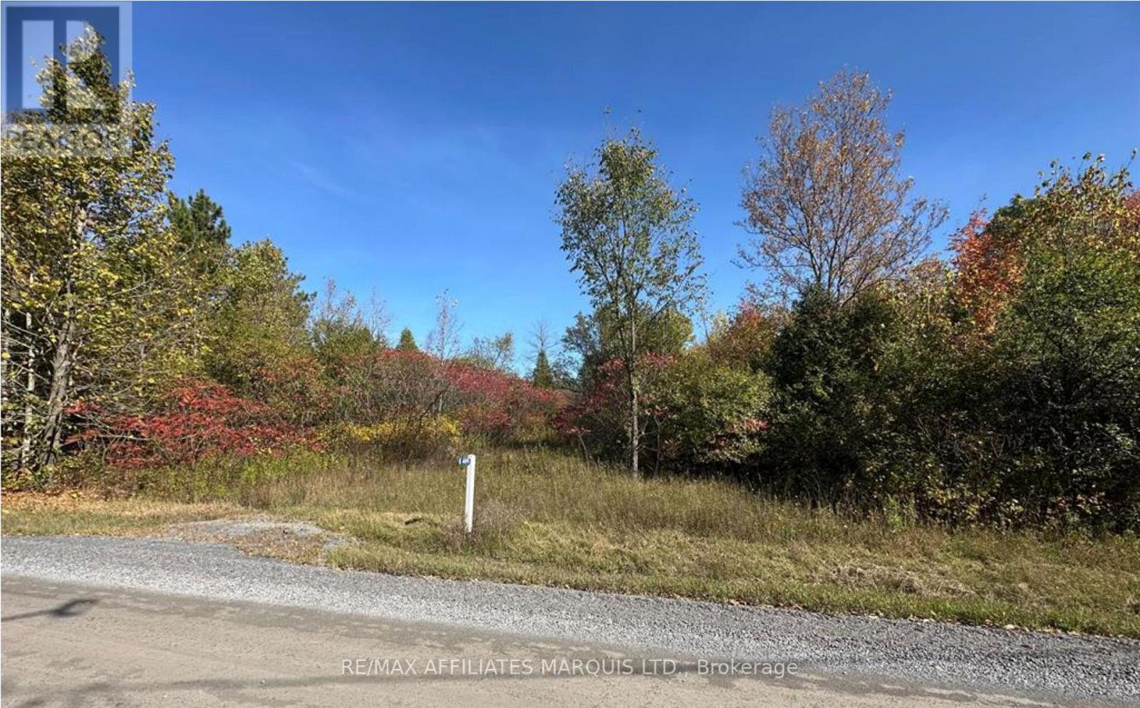 4891 Proctor Road, South Glengarry, Ontario  K0C 2J0 - Photo 3 - X12878926