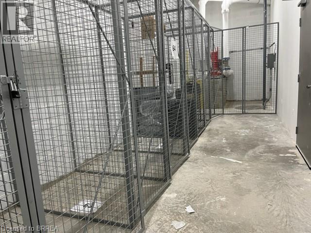 7 Erie Avenue Unit# 810, Brantford, Ontario  N3S 0K5 - Photo 20 - 40802762